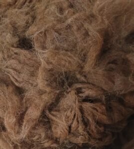 Alpaca fleece-cottagespinsew.com
