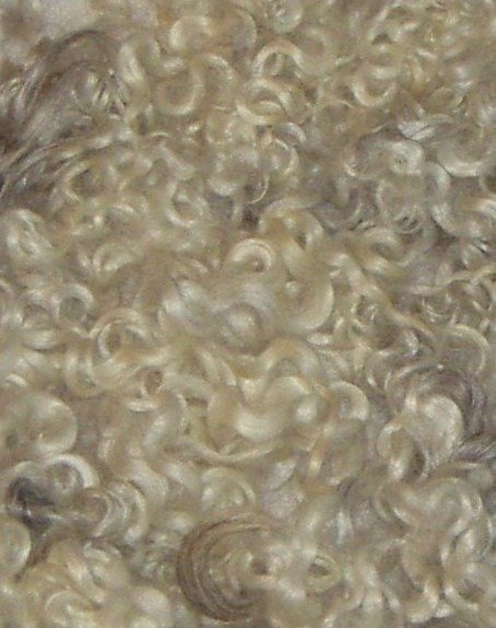 Karakul wool washed- Purchasing Raw Fibers-Cottagespinsew.com