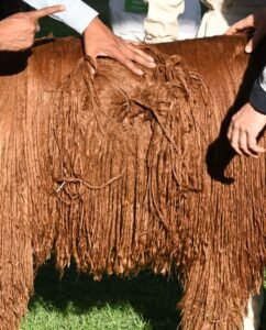 Suri Alpaca Fiber-cottagespinsew.com
